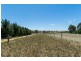 Lot 2, 47 Squires Road, Teesdale VIC 3328