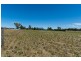 Lot 2, 47 Squires Road, Teesdale VIC 3328