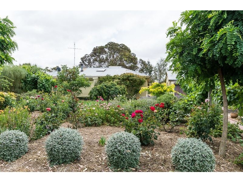 1043 Bannockburn – Shelford Road, Teesdale VIC 3328