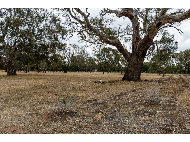 78 Common Road, Inverleigh VIC 3321