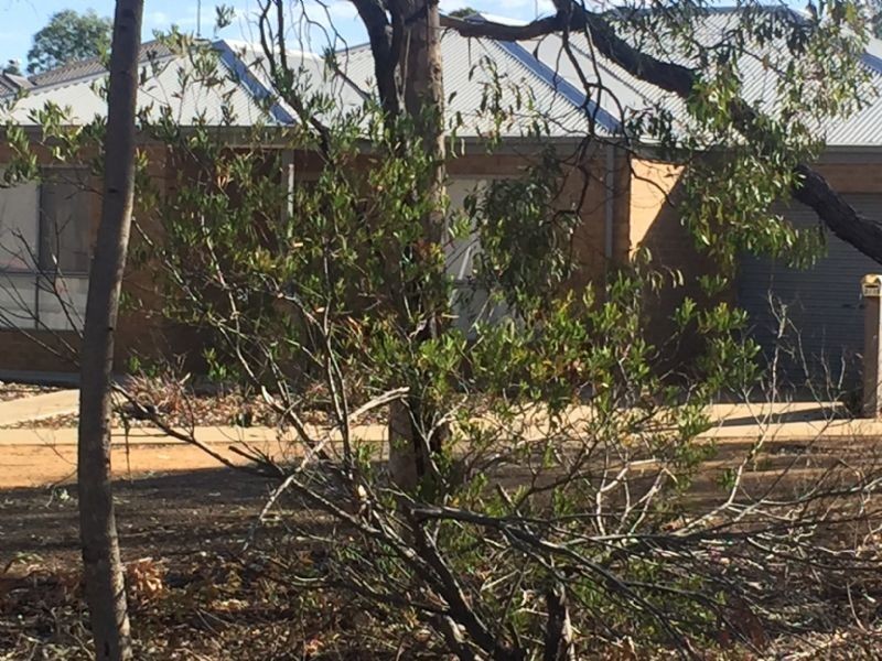 2/15 Burnside Road, Bannockburn VIC 3331