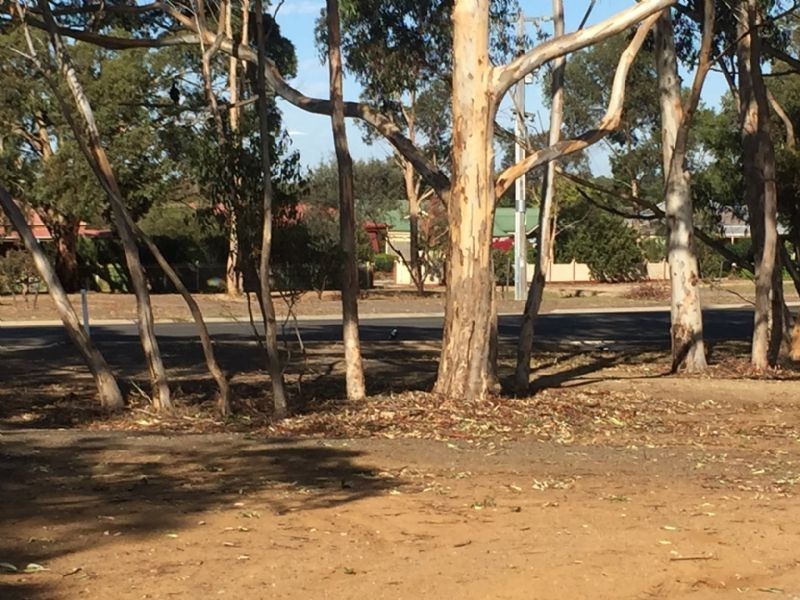 2/15 Burnside Road, Bannockburn VIC 3331