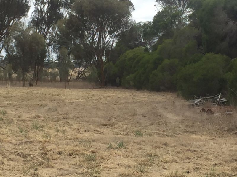 1394 Shelford – Mt Mercer Road, Shelford VIC 3329