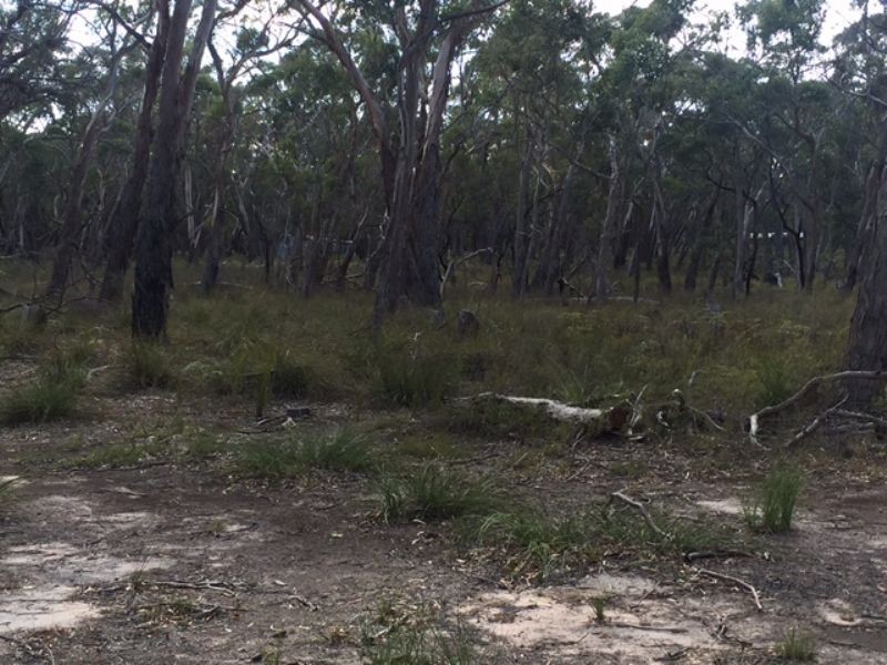 Lot 38 Bliss Road, Dereel VIC 3352