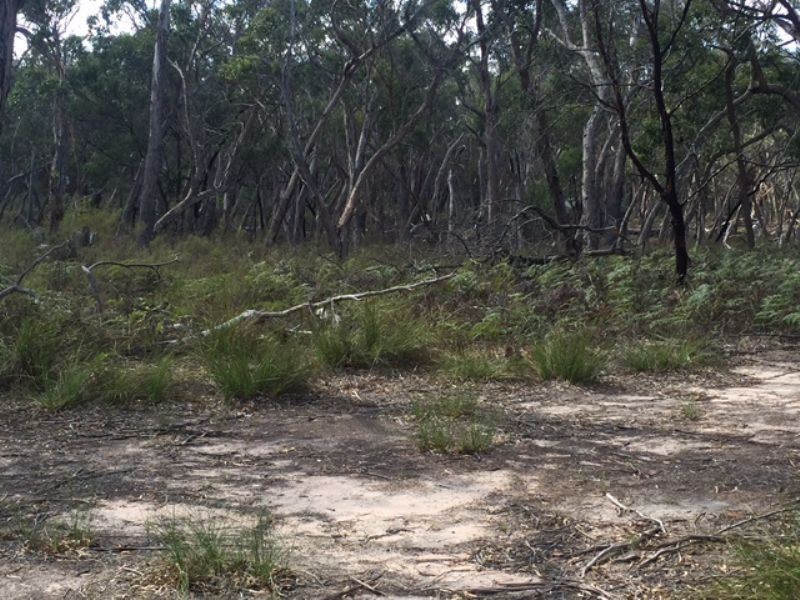 Lot 38 Bliss Road, Dereel VIC 3352