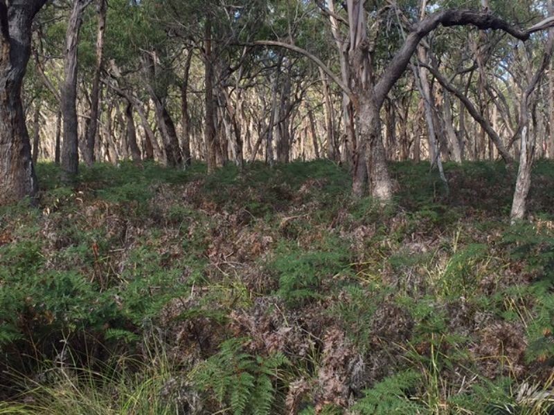 Lot 38 Bliss Road, Dereel VIC 3352