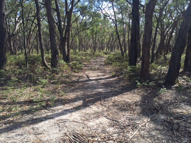 Lot 38 Bliss Road, Dereel VIC 3352