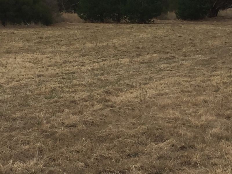 1394 Shelford-Mt Mercer Road, Shelford VIC 3329