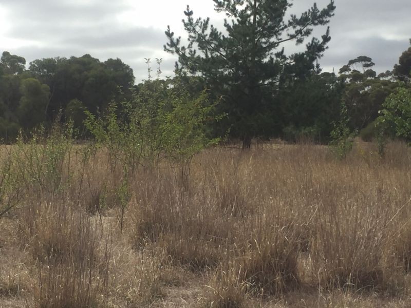 1394 Shelford-Mt Mercer Road, Shelford VIC 3329