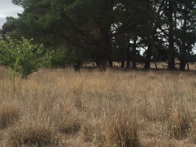 1394 Shelford-Mt Mercer Road, Shelford VIC 3329