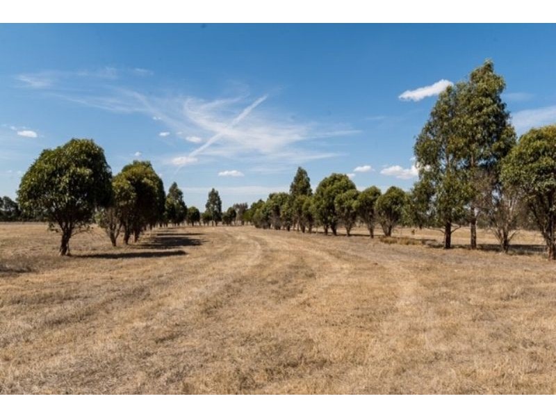 12, Lot 15 Watson Street, Meredith VIC 3333