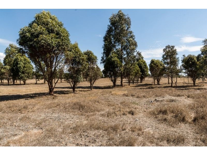 12, Lot 15 Watson Street, Meredith VIC 3333