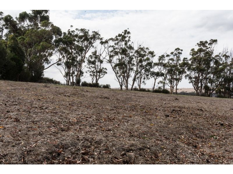 Lot 1, 33 North Street, Shelford VIC 3329