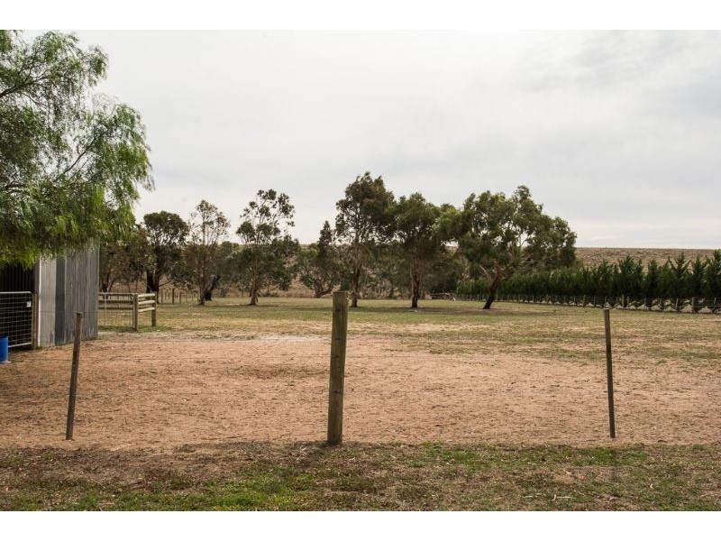 20 River Drive, Teesdale VIC 3328