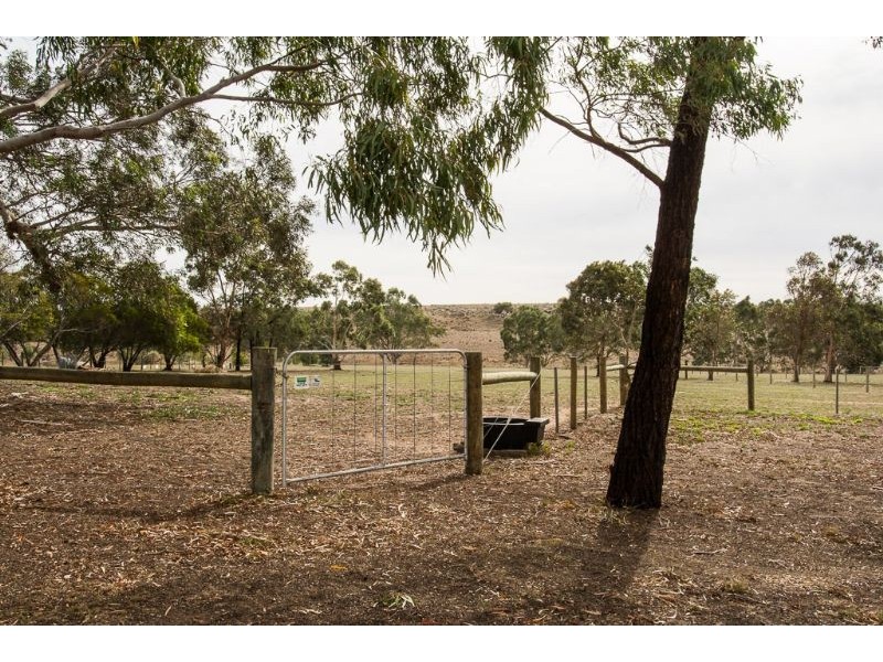 20 River Drive, Teesdale VIC 3328