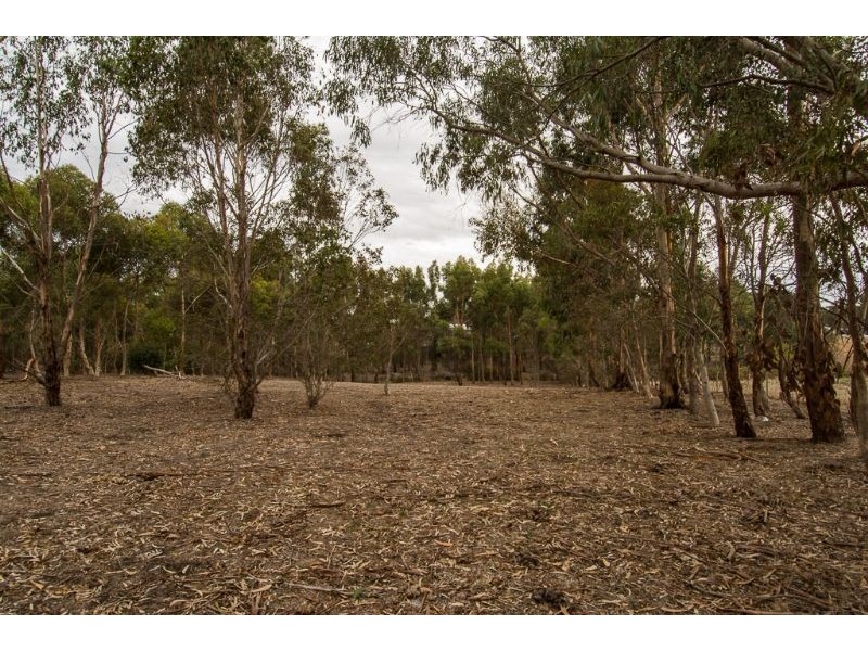 Lot 5 Grant Street, Meredith VIC 3333