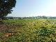 Narre Warren North VIC 3804