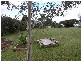 Narre Warren North VIC 3804