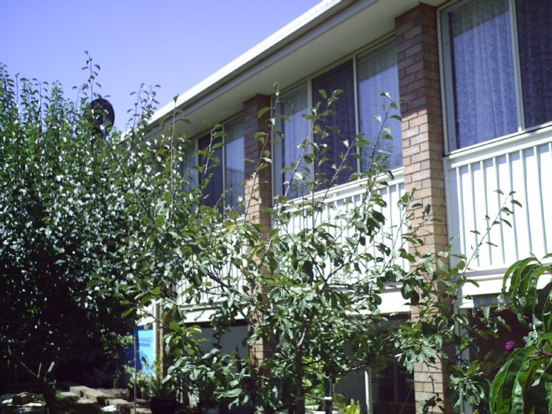 35 RYELANDS DRIVE, Narre Warren VIC 3805