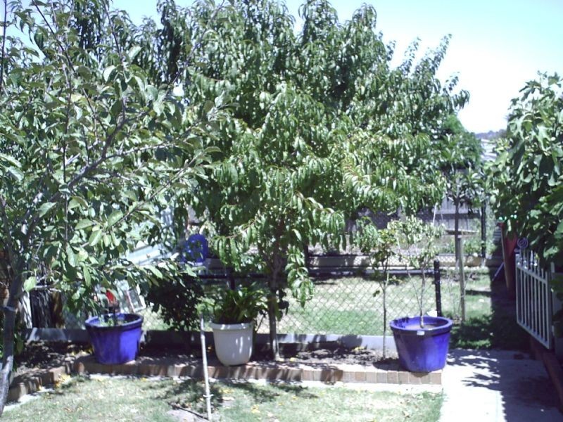 35 RYELANDS DRIVE, Narre Warren VIC 3805