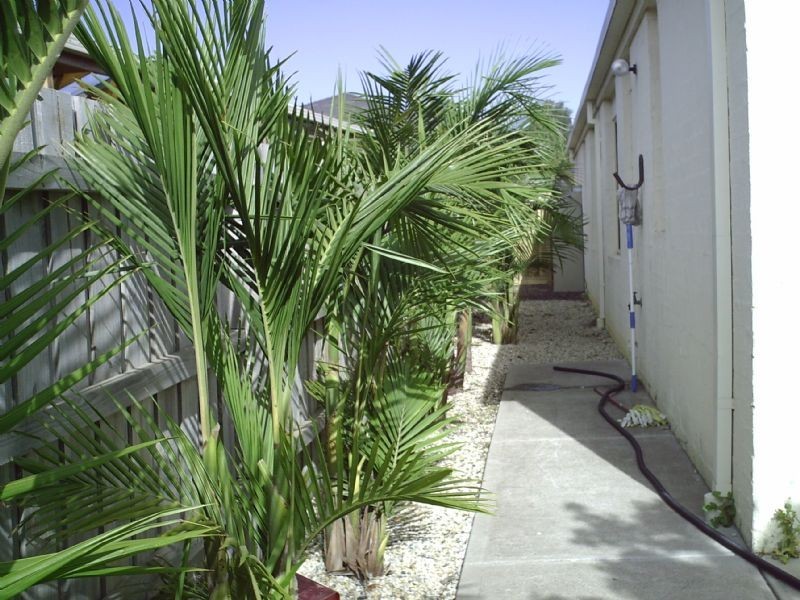 Narre Warren South VIC 3805