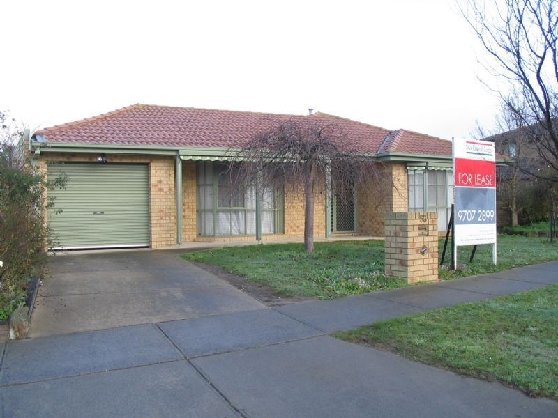 53 Bellevue Drive, Berwick VIC 3806