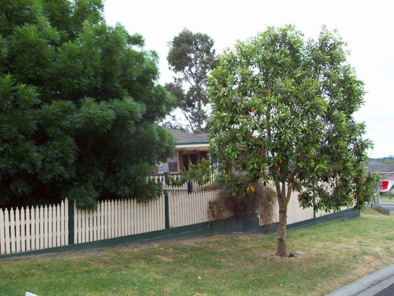 34 Oakleaf Place, Narre Warren VIC 3805