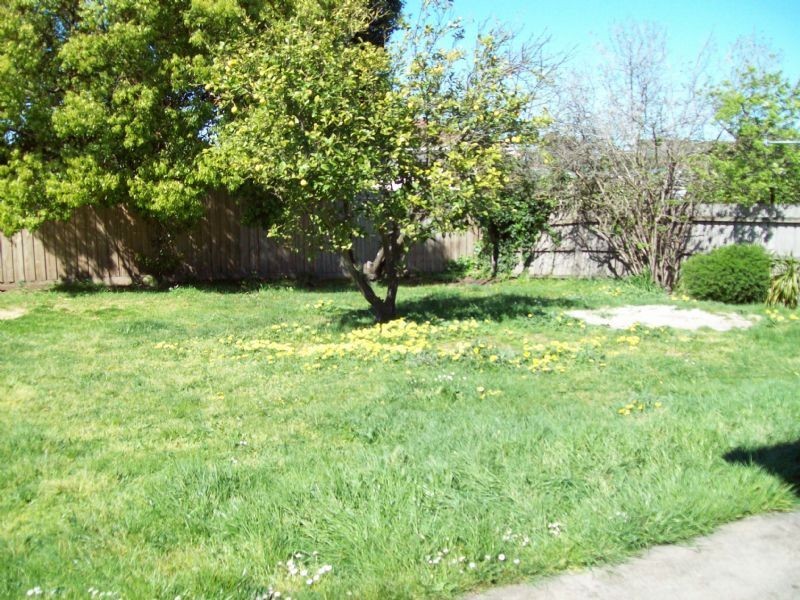 Narre Warren VIC 3805
