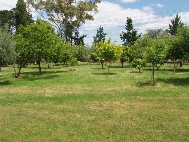 Narre Warren South VIC 3805