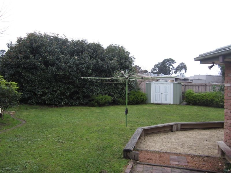 16 Mansfield Street, Berwick VIC 3806