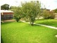 Newtown VIC 3220