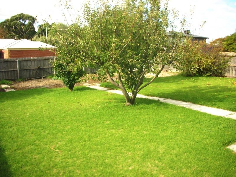 Newtown VIC 3220