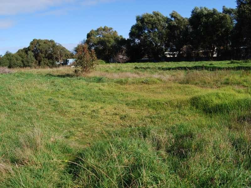 Wonthaggi VIC 3995