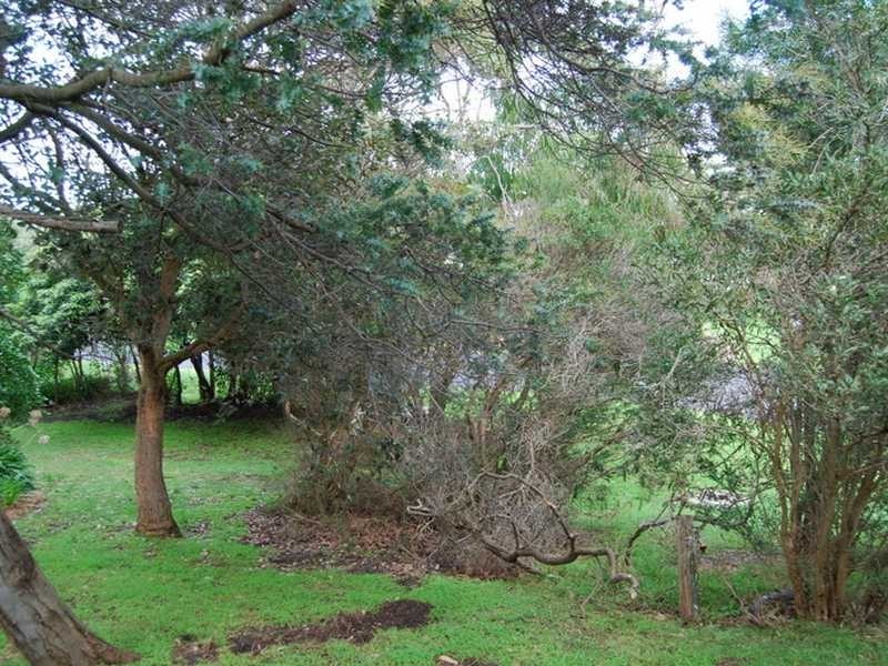 Cape Paterson VIC 3995