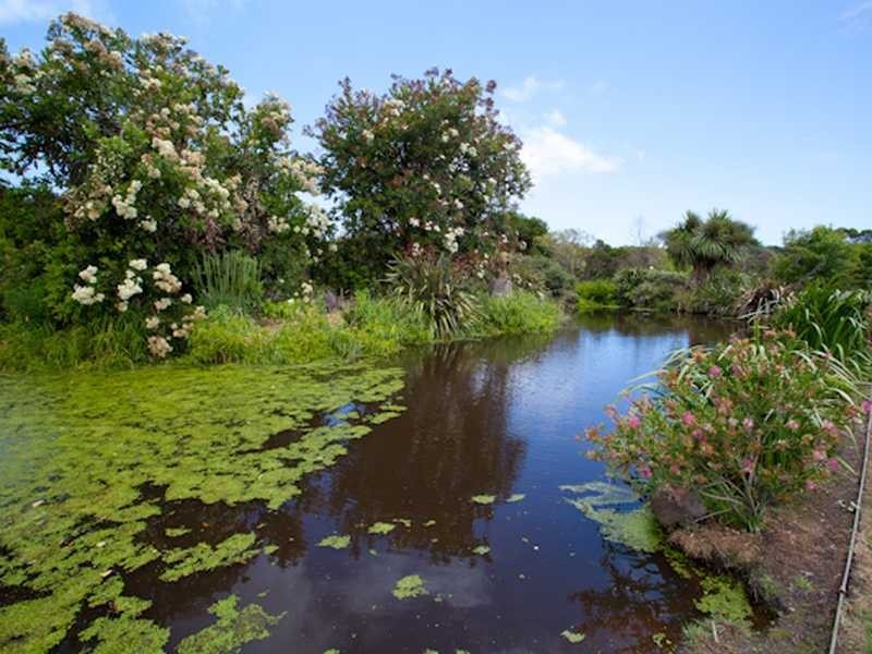 29 Shandley Street, Wonthaggi VIC 3995