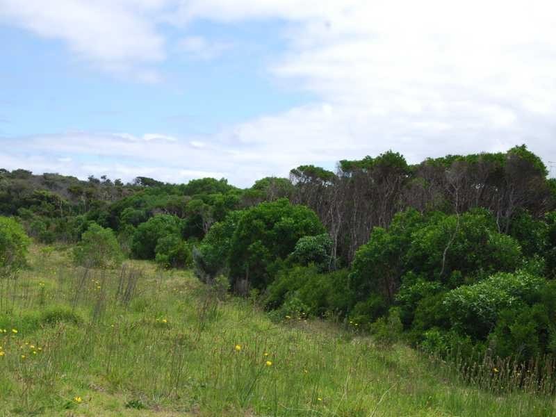 Cape Paterson VIC 3995