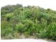 Cape Paterson VIC 3995