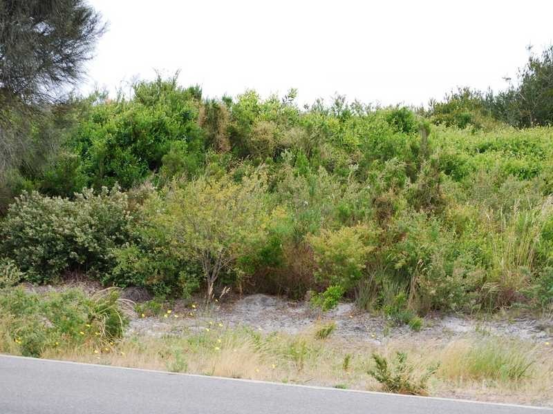 Cape Paterson VIC 3995