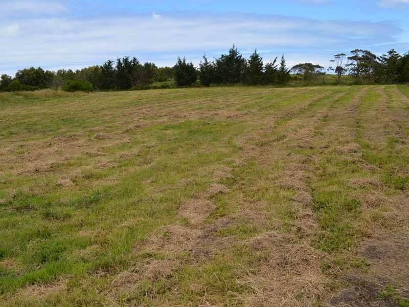 Wonthaggi VIC 3995