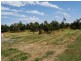 Dalyston VIC 3992