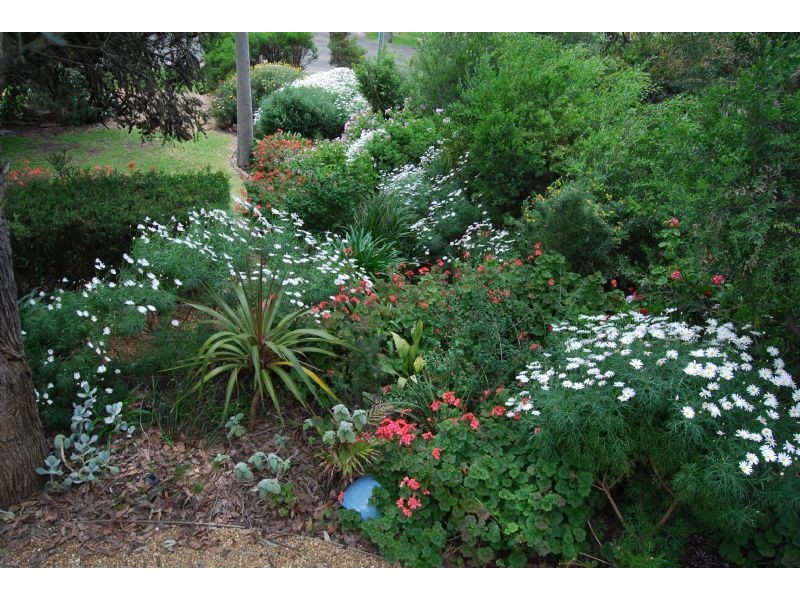 Cape Paterson VIC 3995