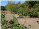Ryanston VIC 3992