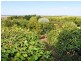 Ryanston VIC 3992
