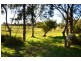 Cape Paterson VIC 3995