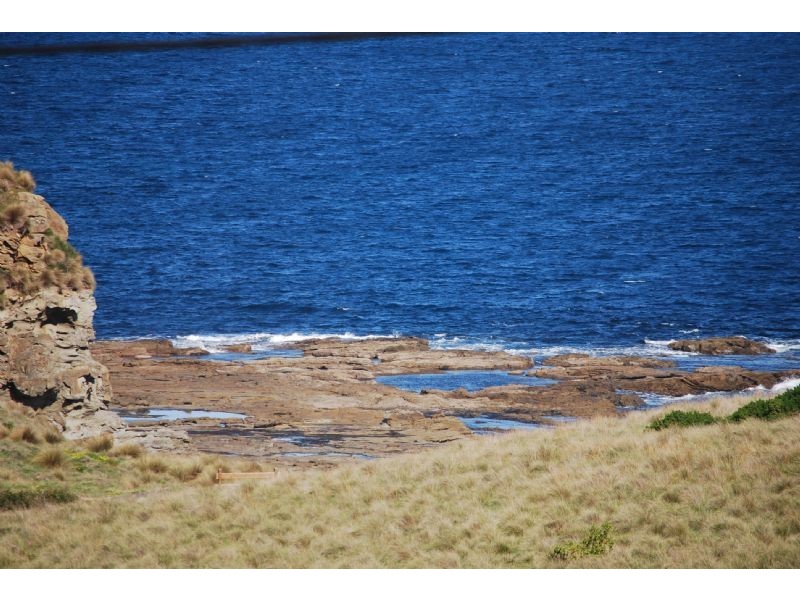 Kilcunda VIC 3995