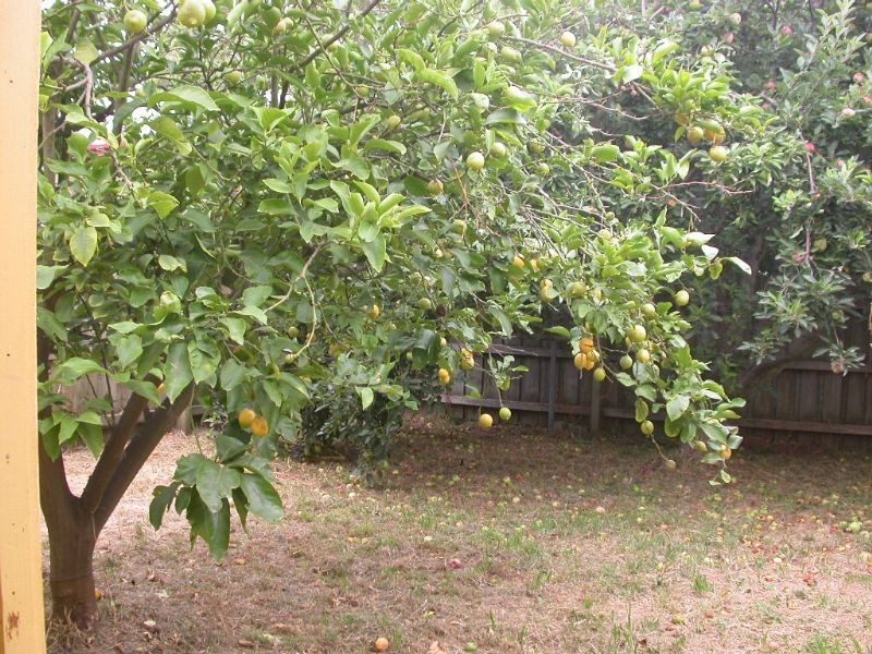 Cape Paterson VIC 3995