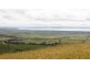 Woolamai VIC 3995
