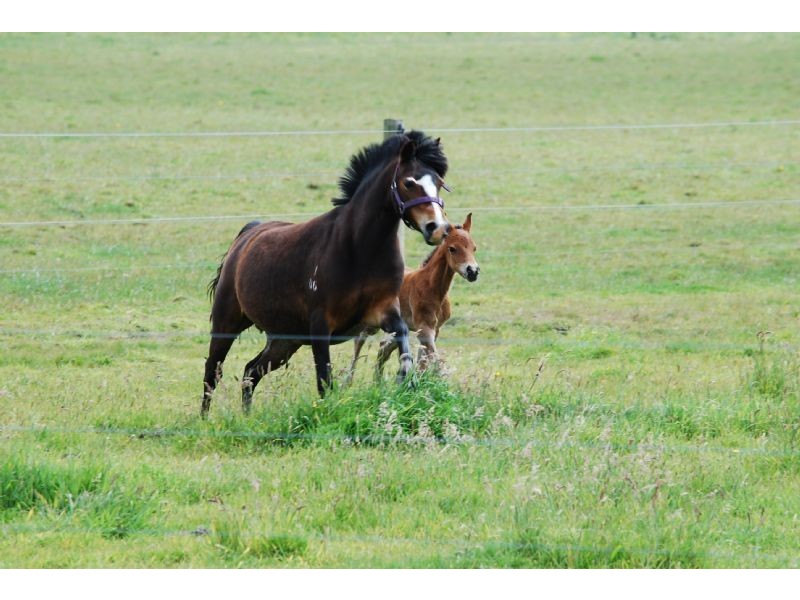 Lance Creek VIC 3995