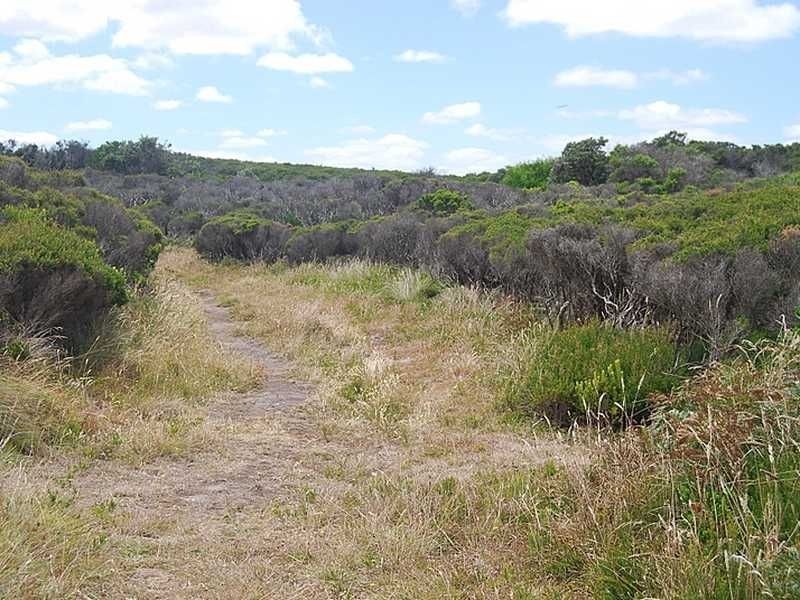 Lot 8 Viminaria Road, Harmers Haven VIC 3995