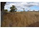 Dalyston VIC 3992